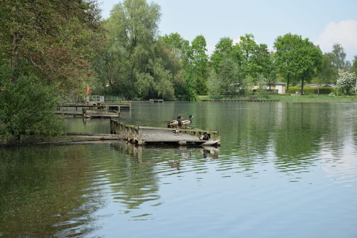 Photo 31 of Stelleplas 240