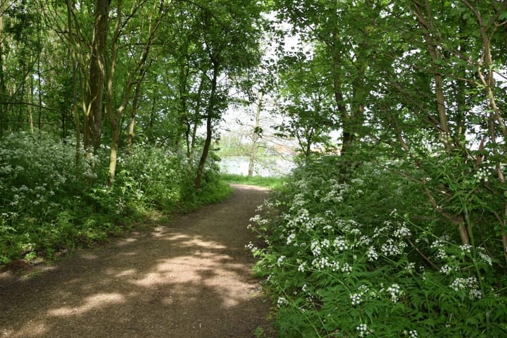 Photo 32 of Stelleplas 240