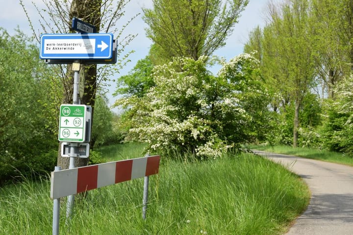 Photo 37 of Stelleplas 240