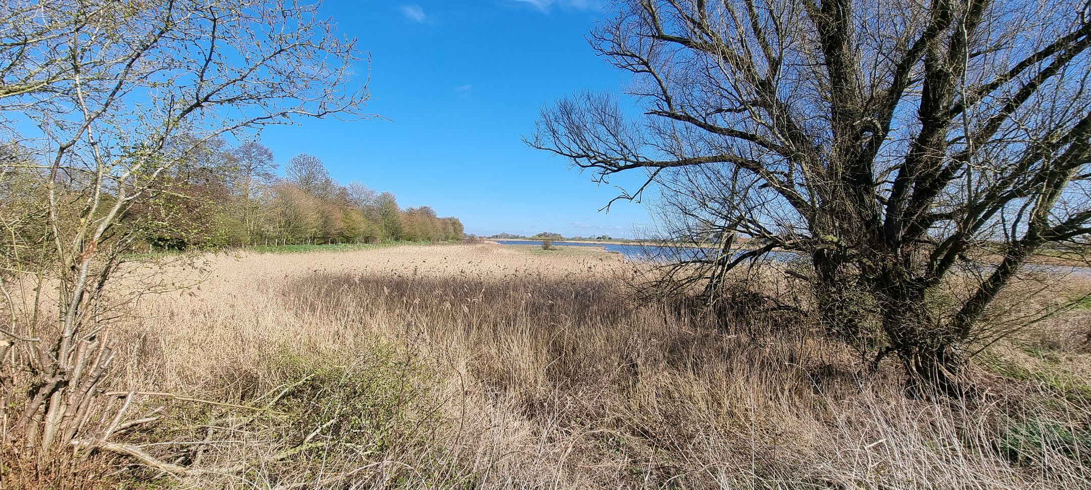 Foto 36 van Grotendam 10