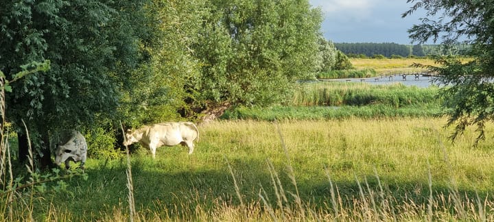 Photo 37 of Grotendam 10