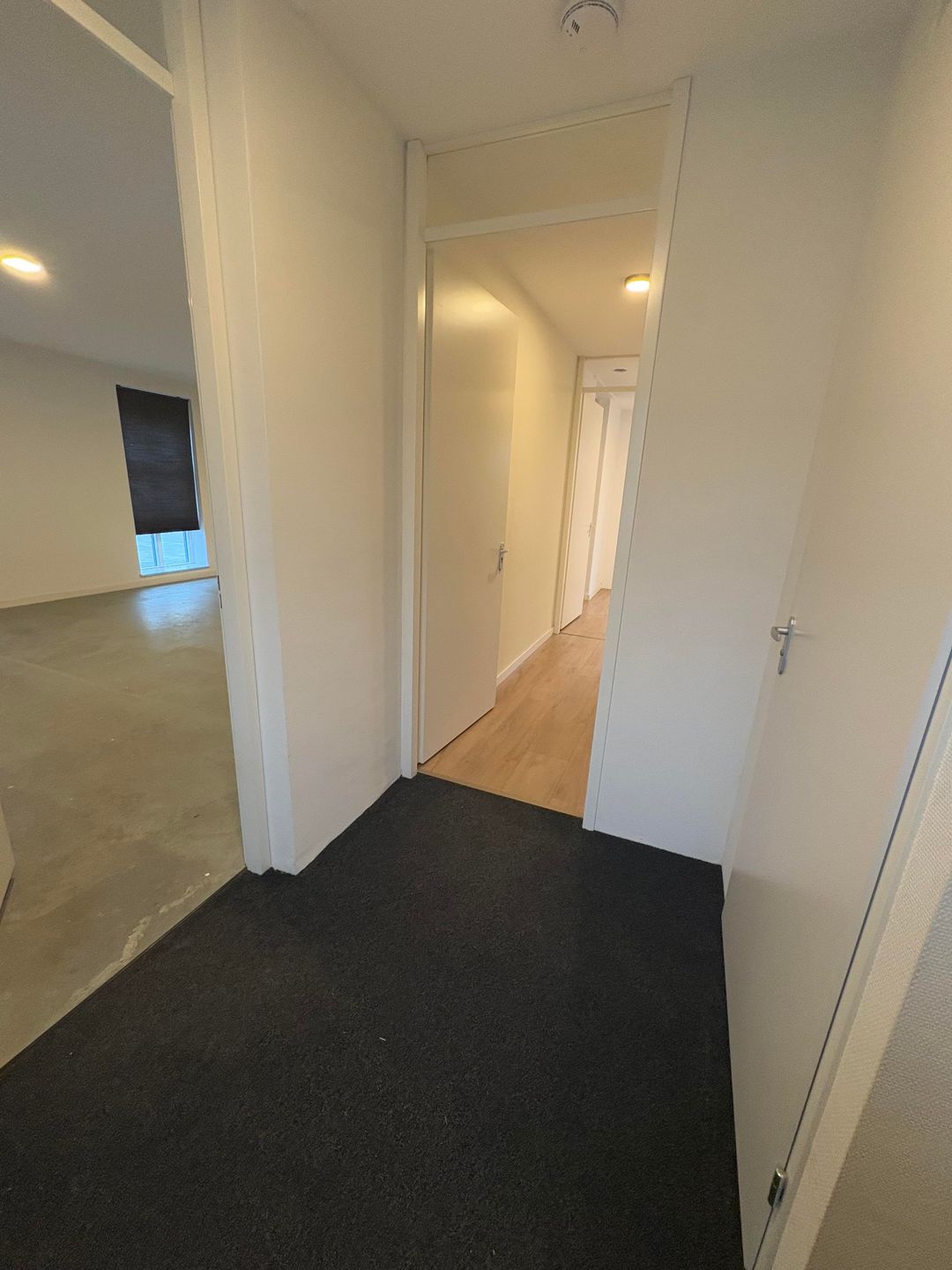 Foto 17 van De Willem Ruysstraat 60