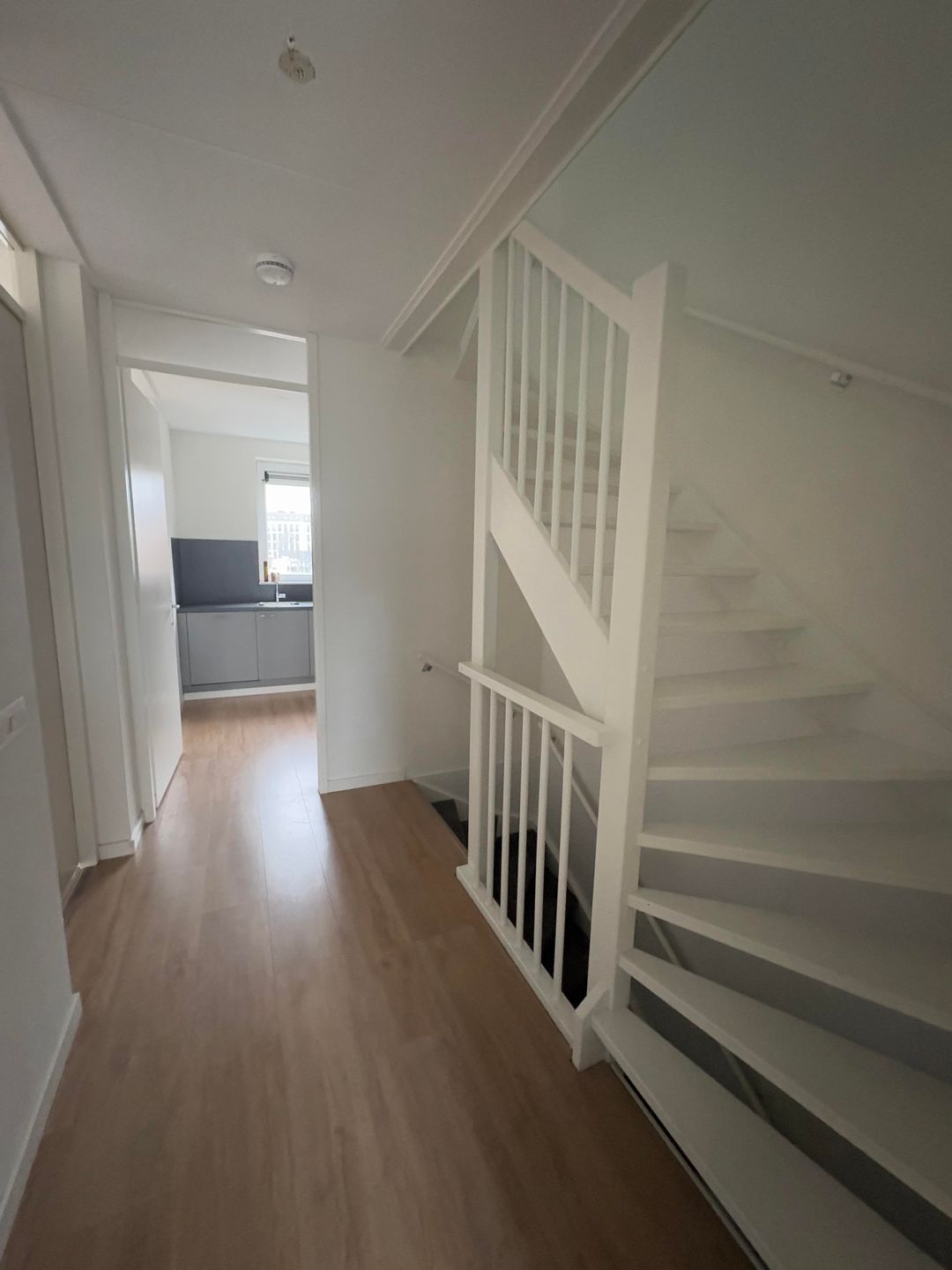 Foto 31 van De Willem Ruysstraat 60