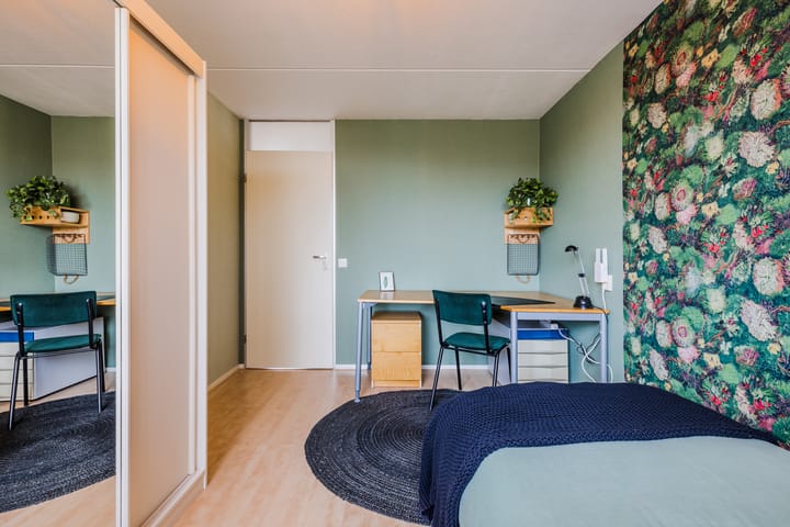 Foto 18 van Trasmolen 6