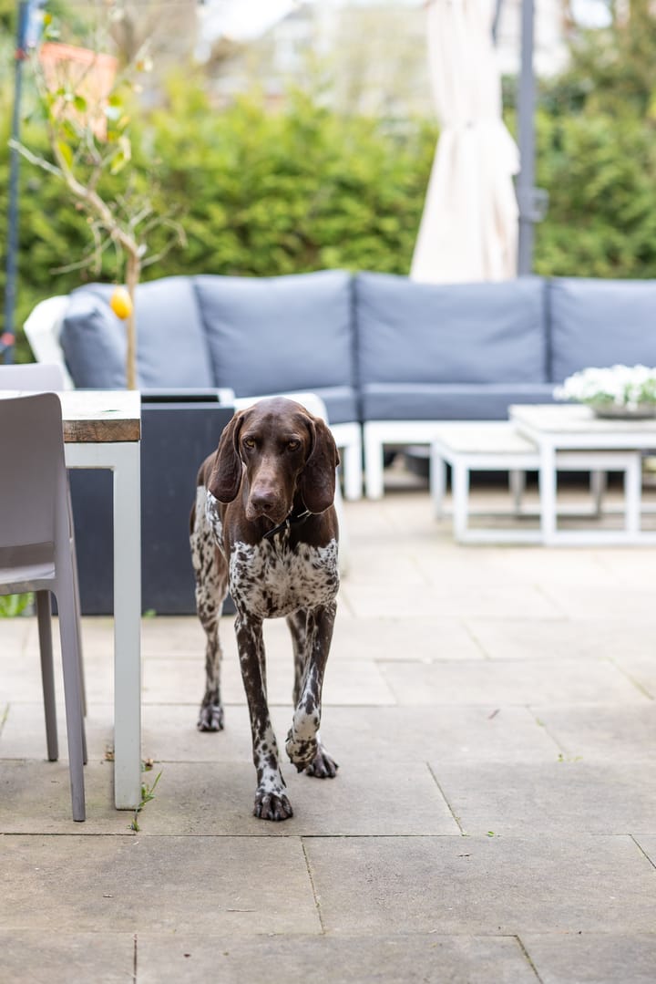 Photo 41 of Johannes Voorhoevestraat 47