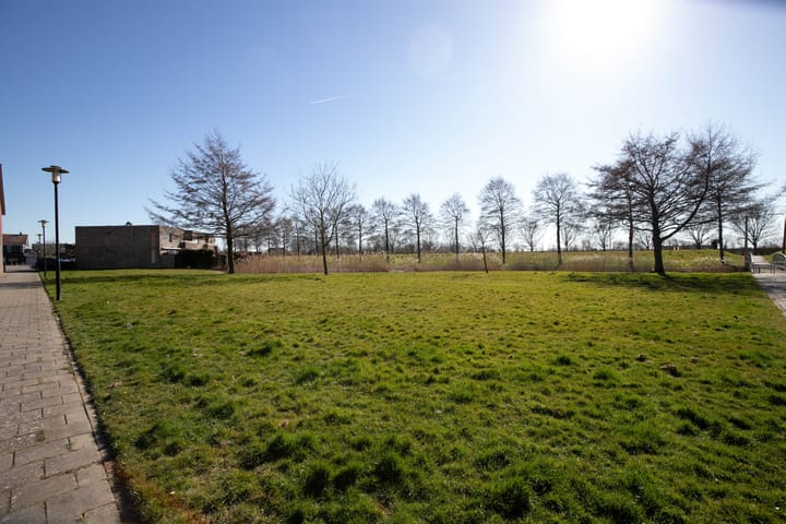 Foto 38 van Boegstraat 8