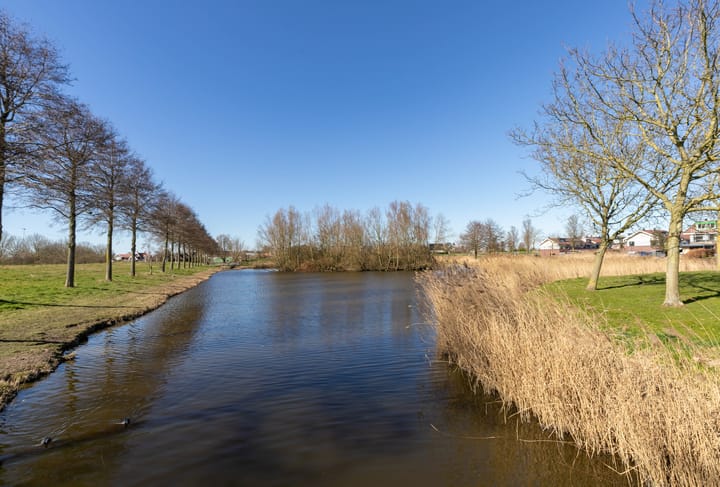 Foto 39 van Boegstraat 8