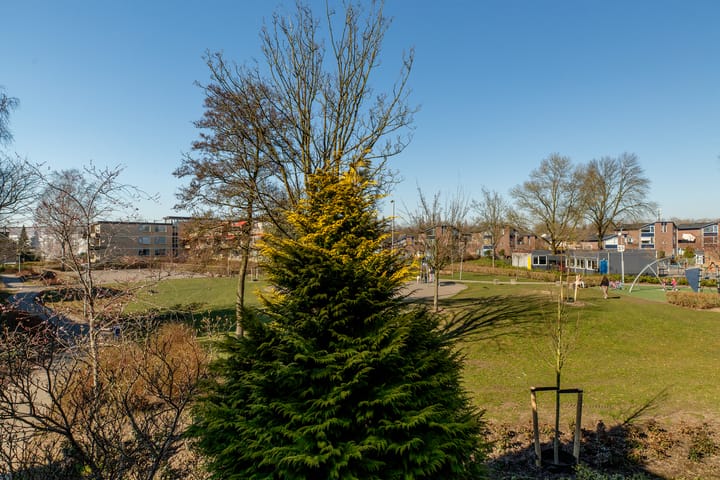 Foto 37 van Boeier 19