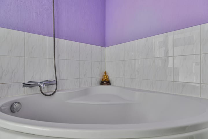 Foto 18 van Rotterdamsedijk 176-A