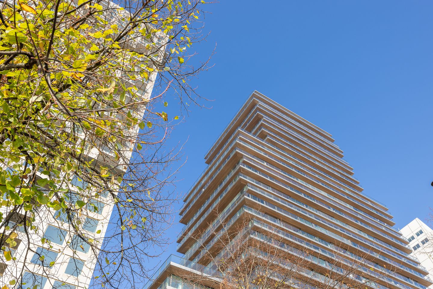 Photo 5 of Boompjes 56-S