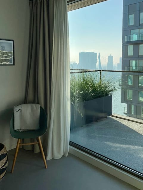 Foto 24 van Boompjes 56-S