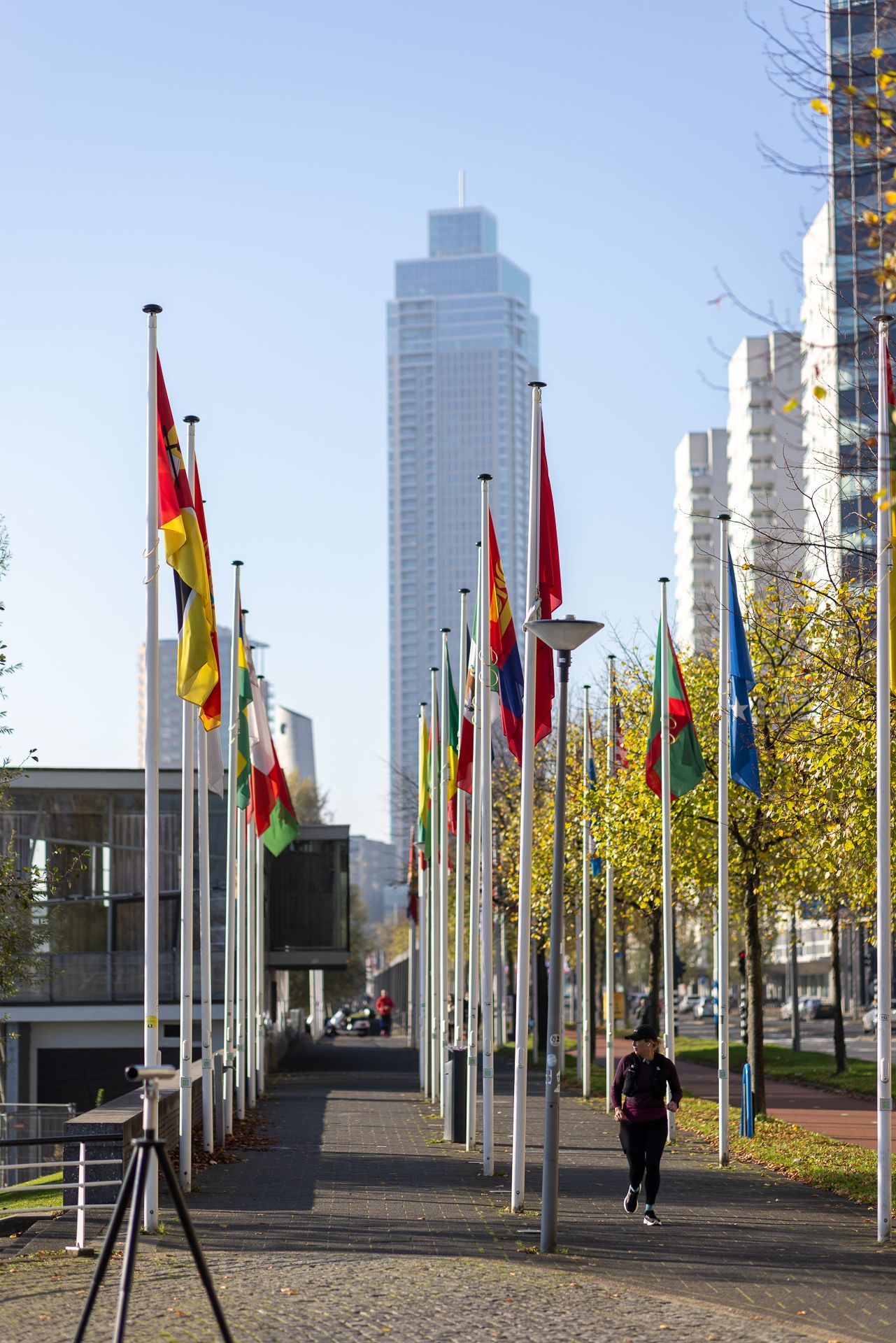 Photo 44 of Boompjes 56-S