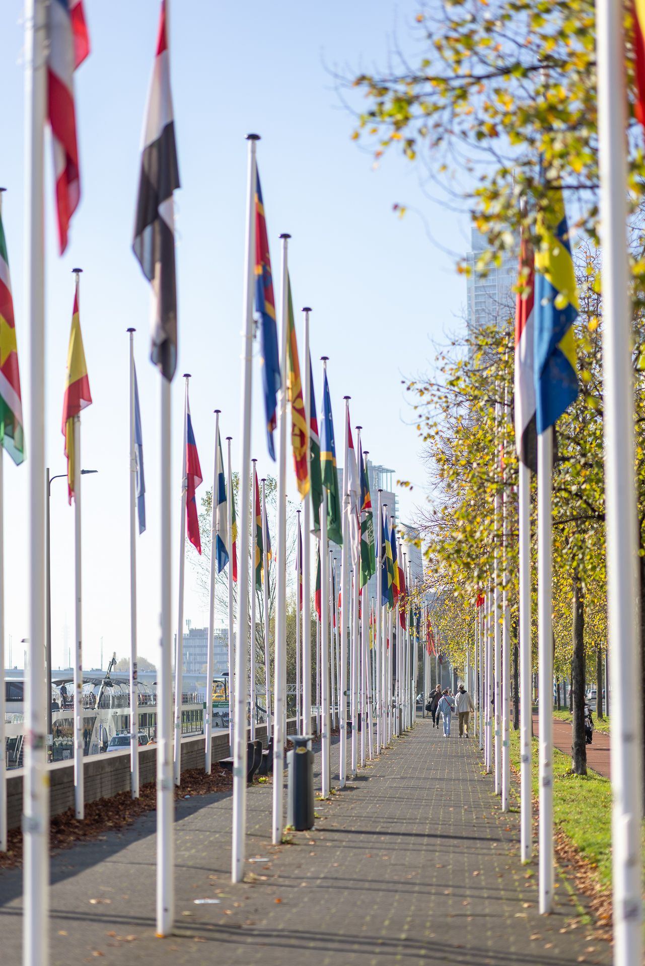 Photo 48 of Boompjes 56-S