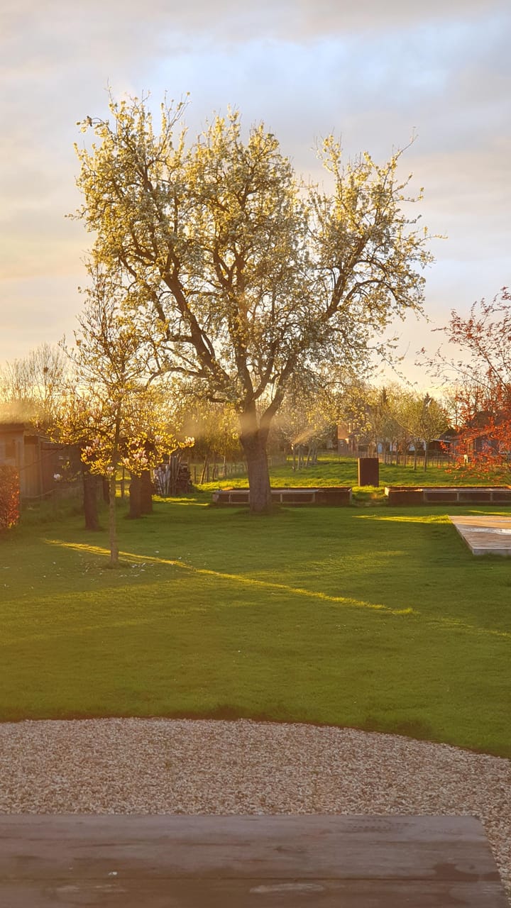 Foto 53 van Walstraat 21