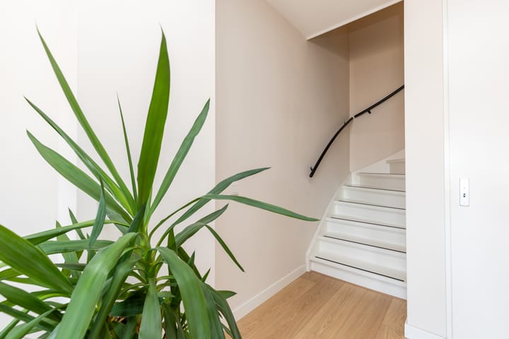 Foto 29 van Zwitserlandstraat 26