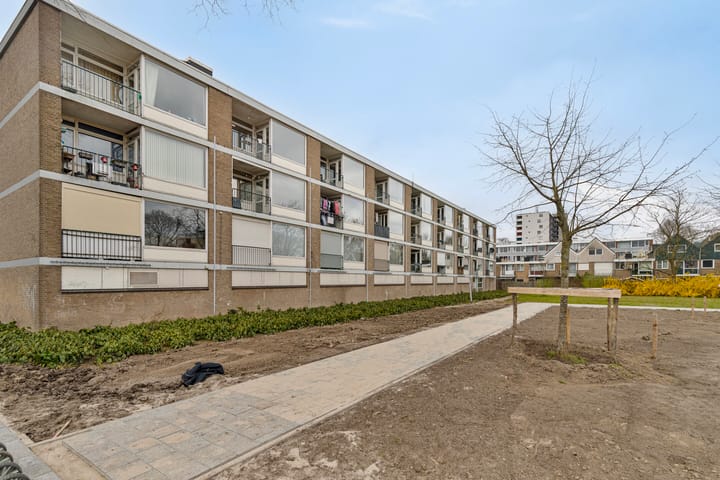 Foto 14 van Platostraat 202