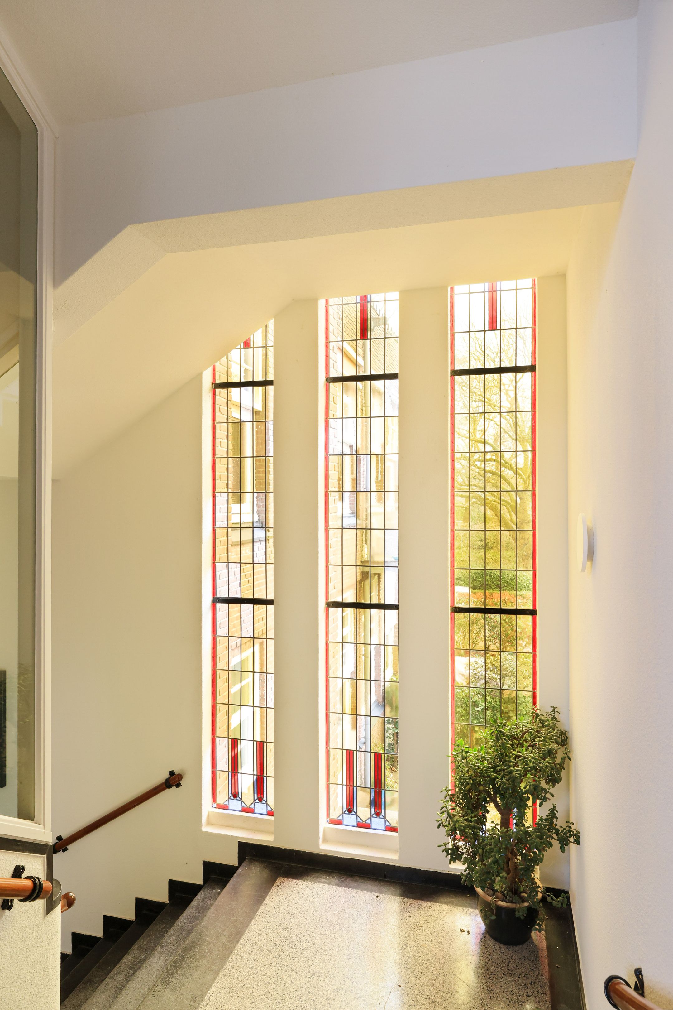 Foto 21 van Dr. C.W.H. van Raaltenpark 35