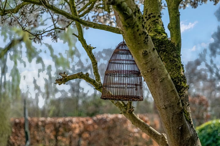 Foto 51 van Rijndijk 23