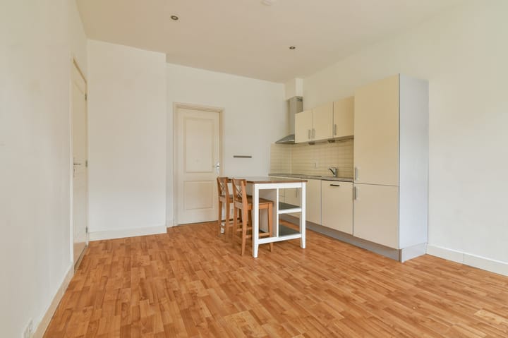 Foto 3 van Paulus Potterstraat 20-A