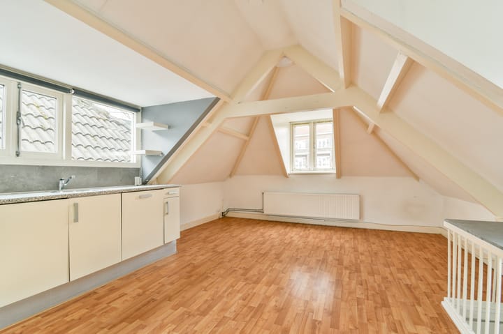 Foto 21 van Paulus Potterstraat 20-A