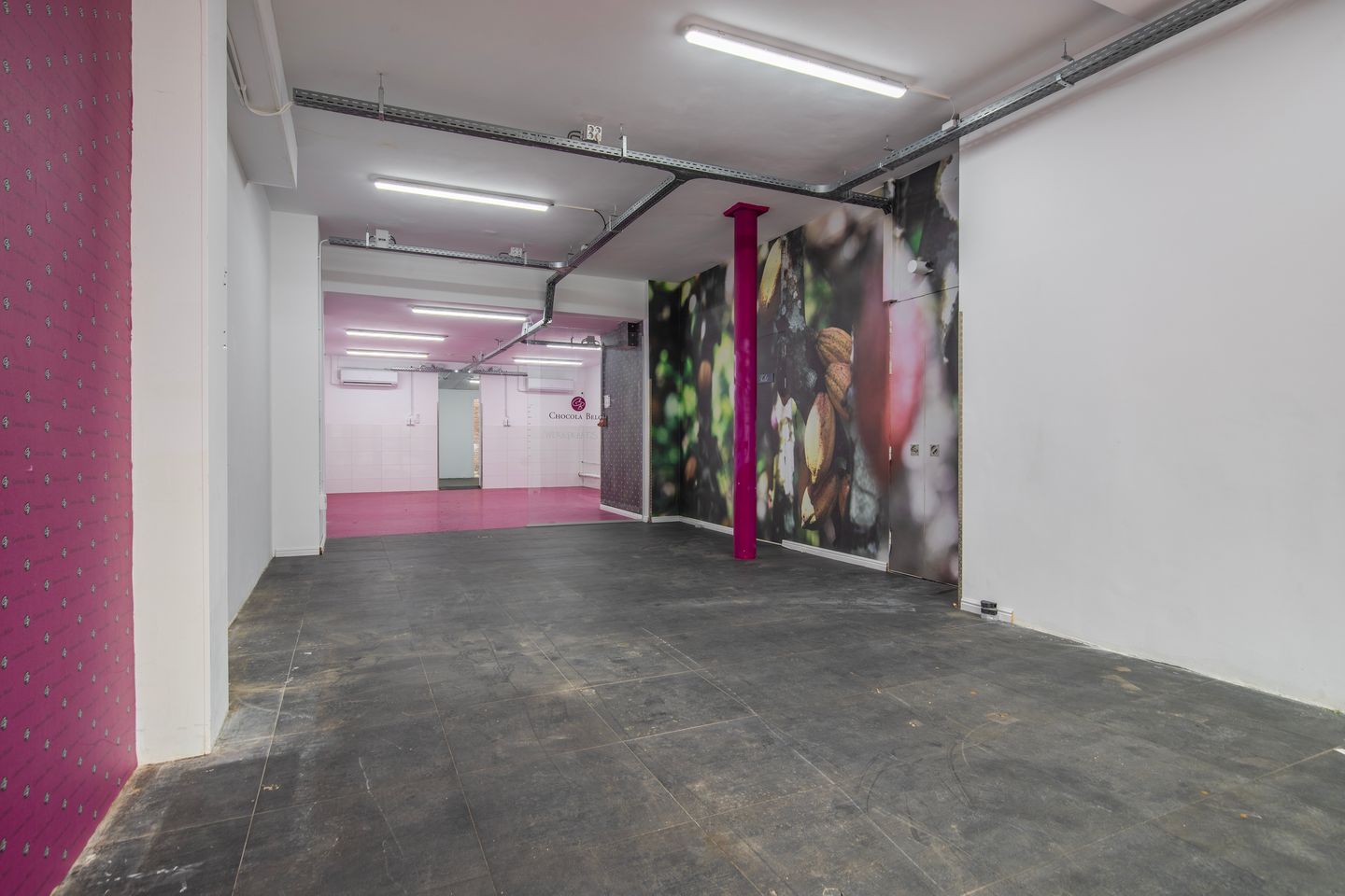 View photo 5 of Bisschop Hamerstraat 6