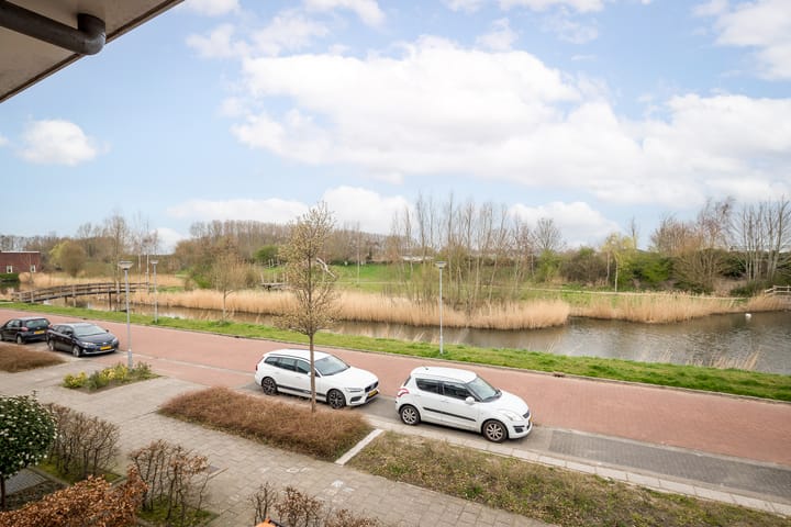 Foto 3 van Pimpelmees 7