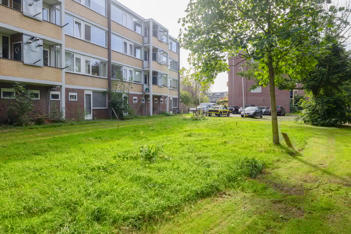 Foto 3 van Friezenhorst 31-C