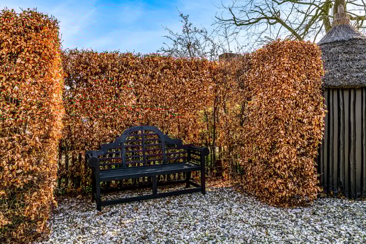 Foto 27 van Meidoornlaan 8