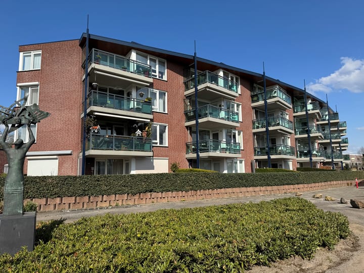 Foto 1 van Medaillon 60