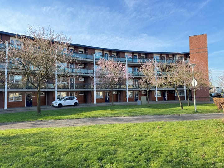 Foto 22 van Medaillon 60