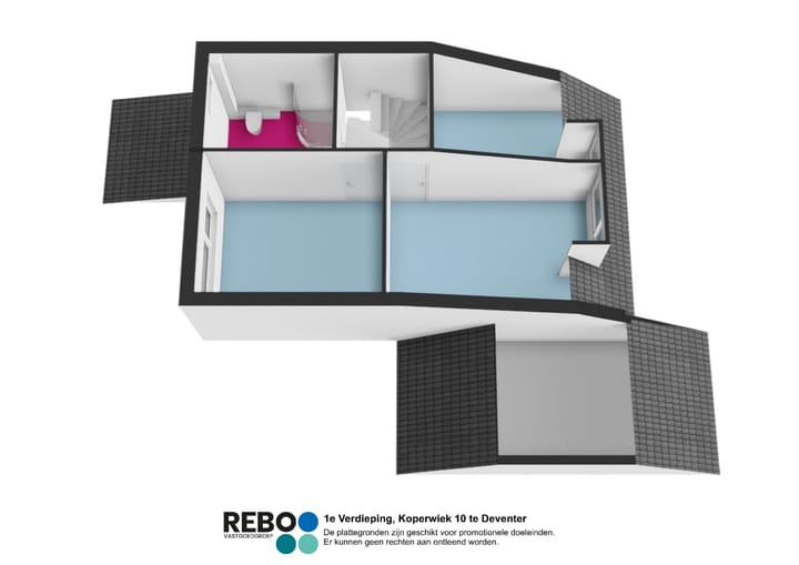 Foto 30 van Koperwiek 10