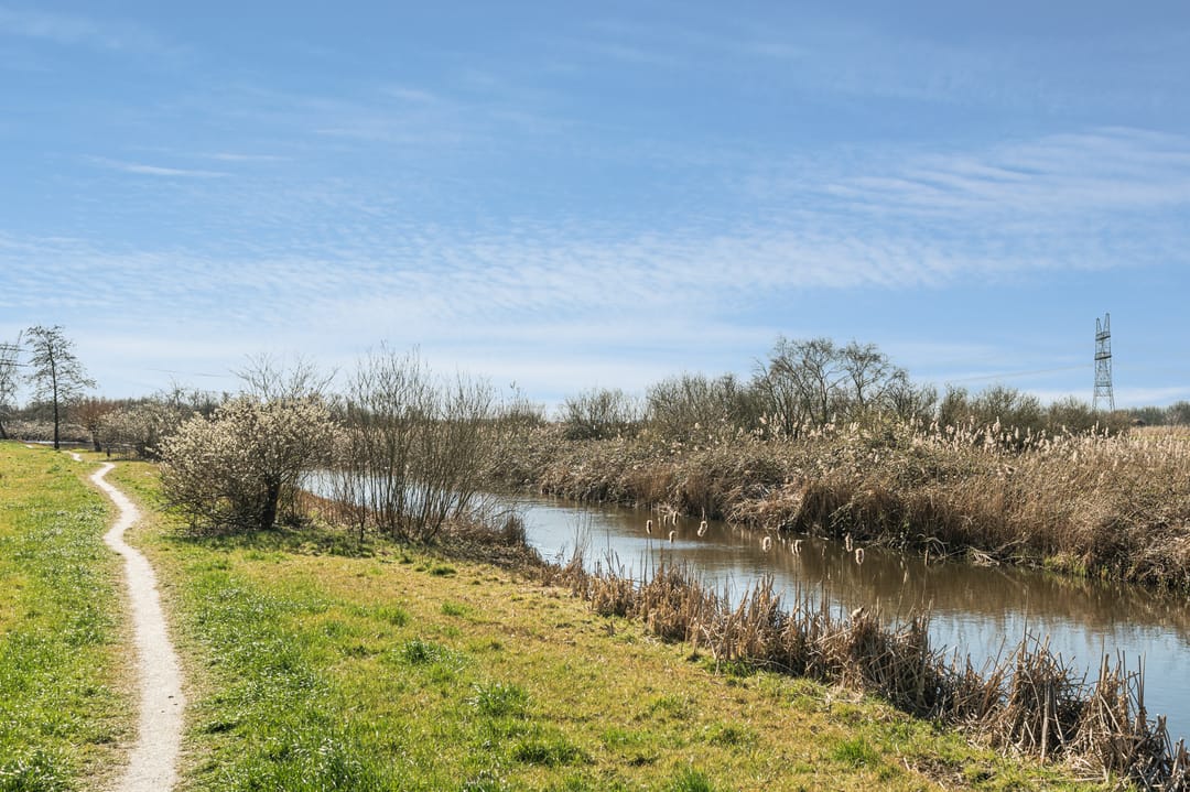 Photo 38 of Rio Grandestraat 19