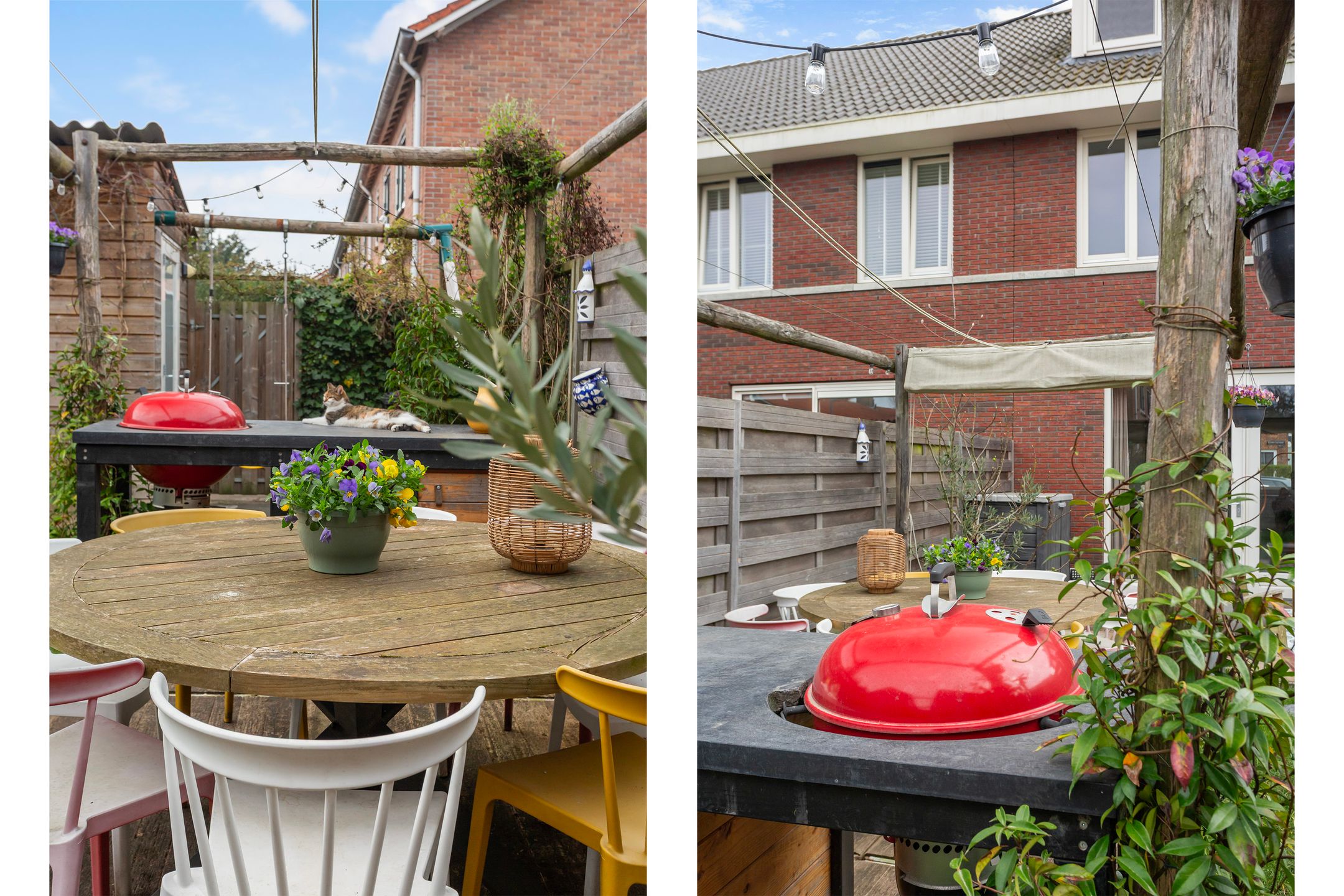 Foto 24 van Clematisstraat 37