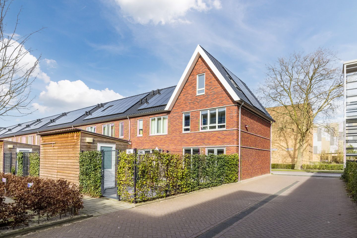 Foto 40 van Rhijnvis Feithstraat 28