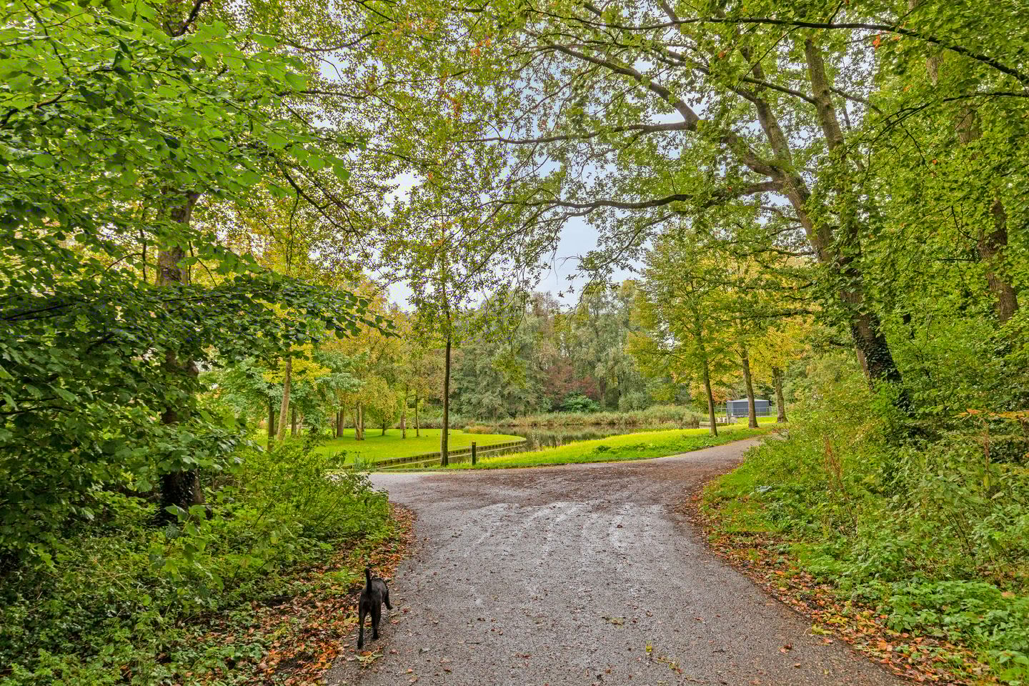 Foto 25 van Nobelstraat 43-B01