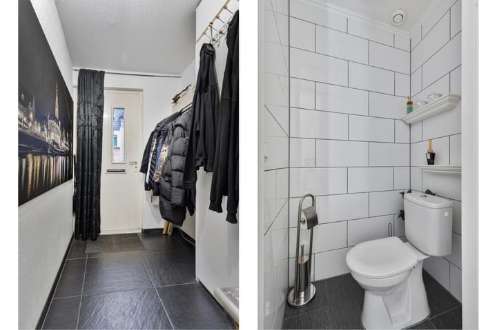 Foto 4 van Bruin Zandoogje 22