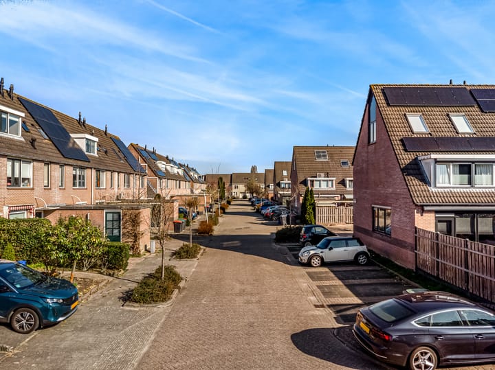 Foto 2 van Brandgans 31