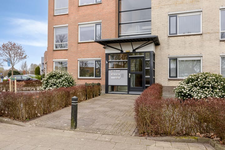 Photo 2 of Reuzenpandasingel 210