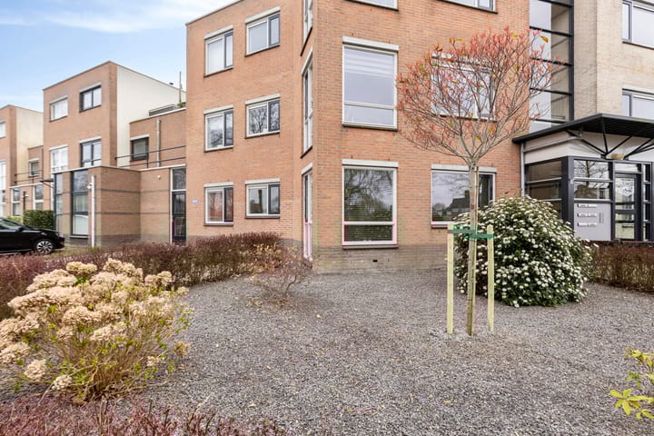 Photo 8 of Reuzenpandasingel 210