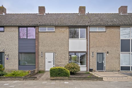 undefined main image