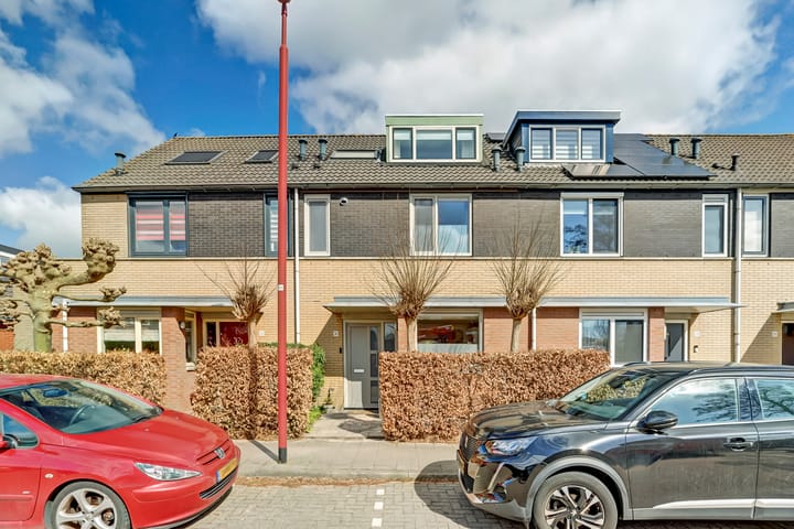 Foto 1 van Pieter van Laerhage 30