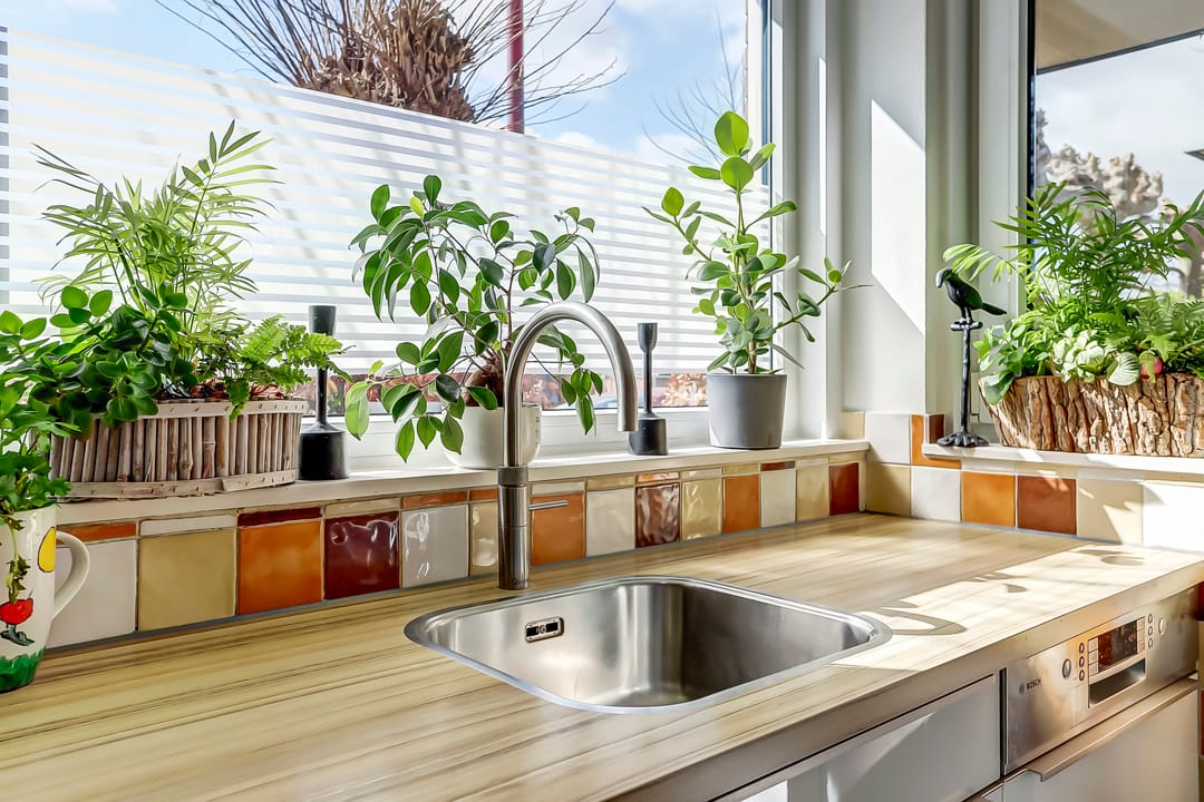 Foto 8 van Pieter van Laerhage 30