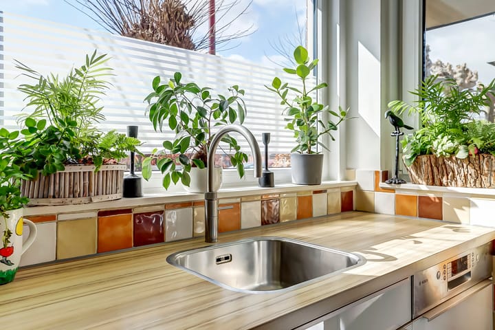 Foto 8 van Pieter van Laerhage 30