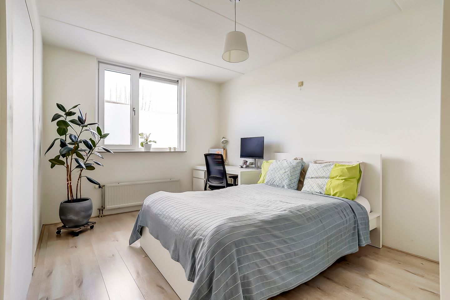 Foto 20 van Pieter van Laerhage 30