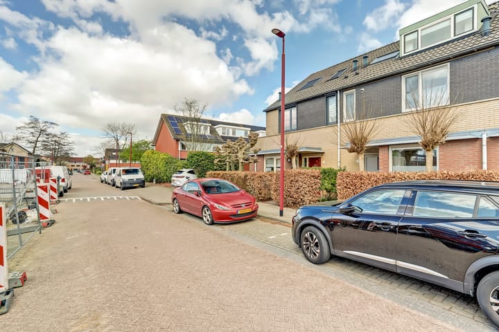 Foto 36 van Pieter van Laerhage 30