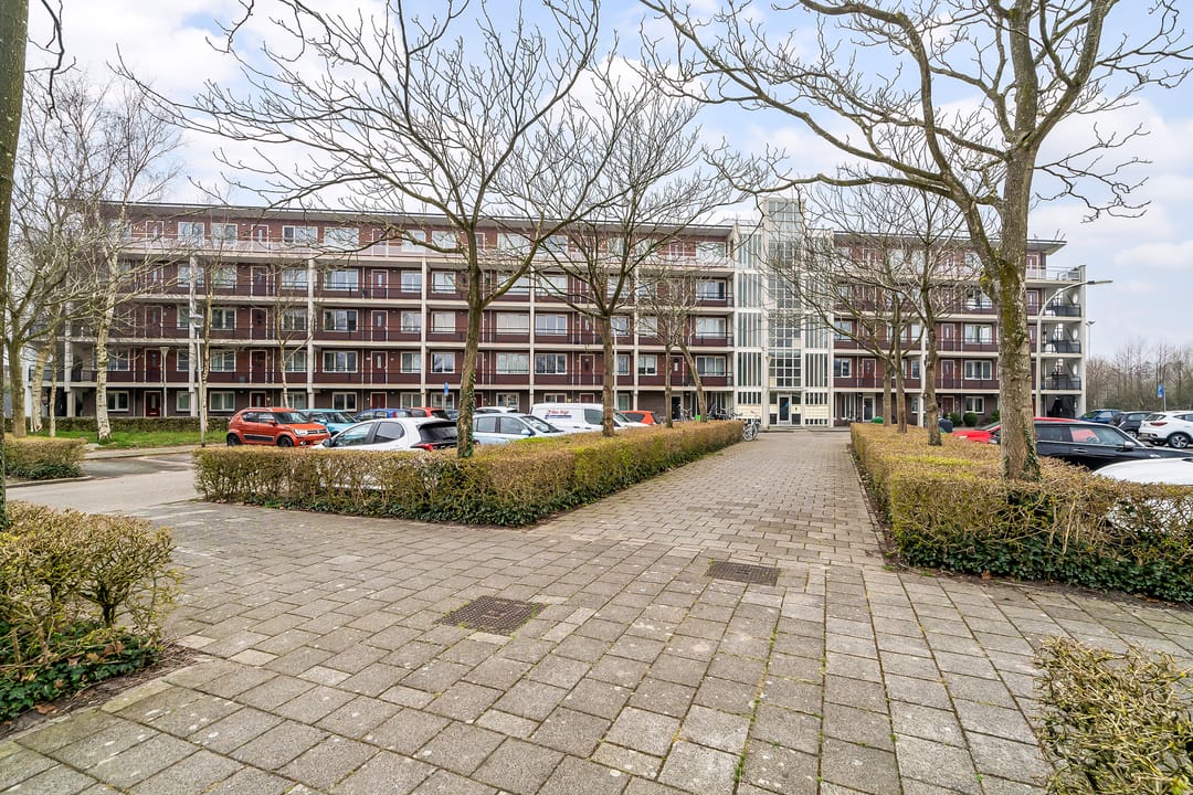 Foto 1 van Padmoes 41