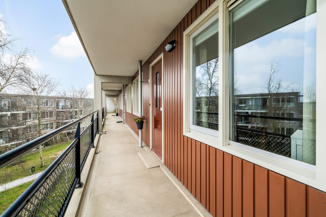 Foto 7 van Padmoes 41