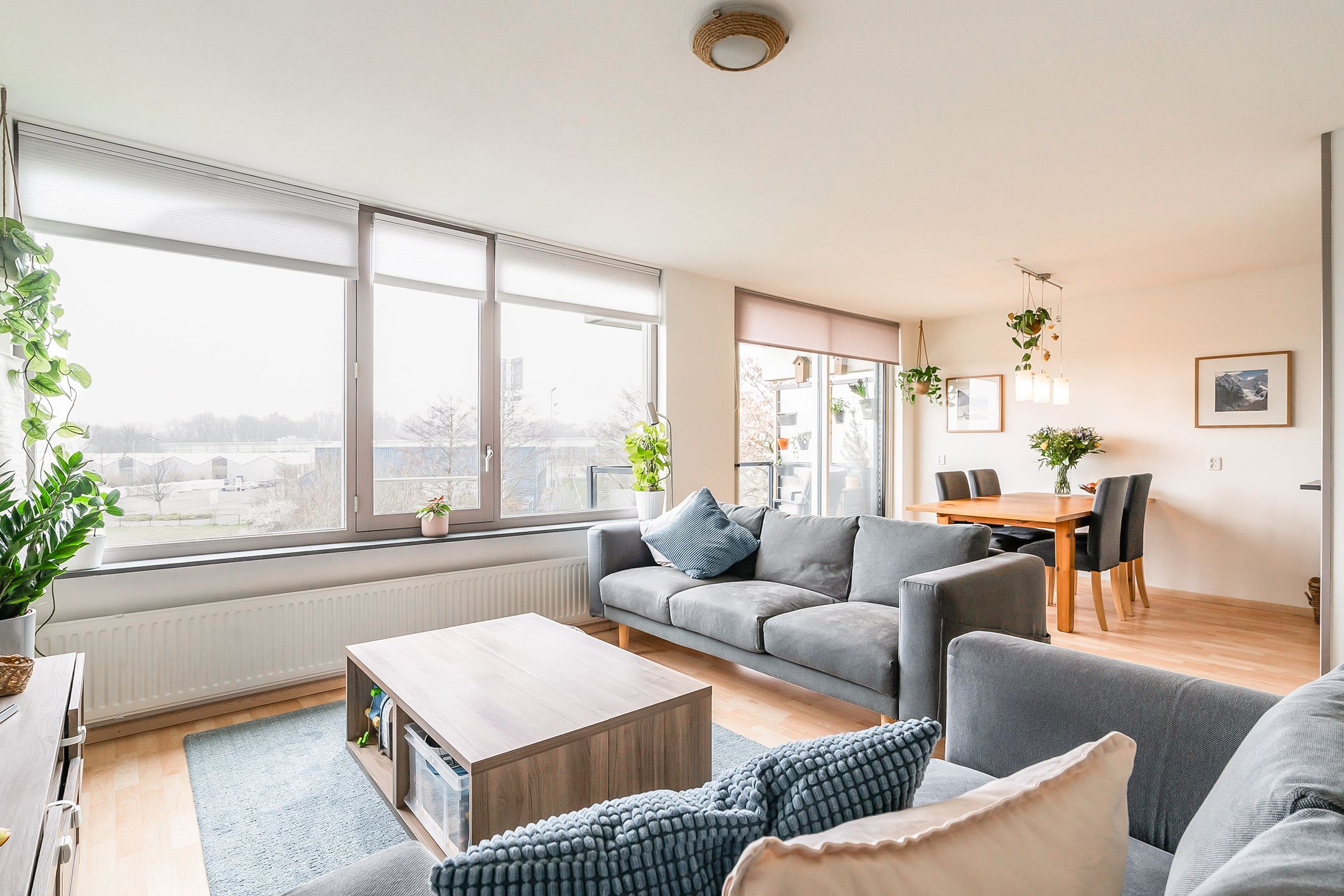 Foto 15 van Padmoes 41