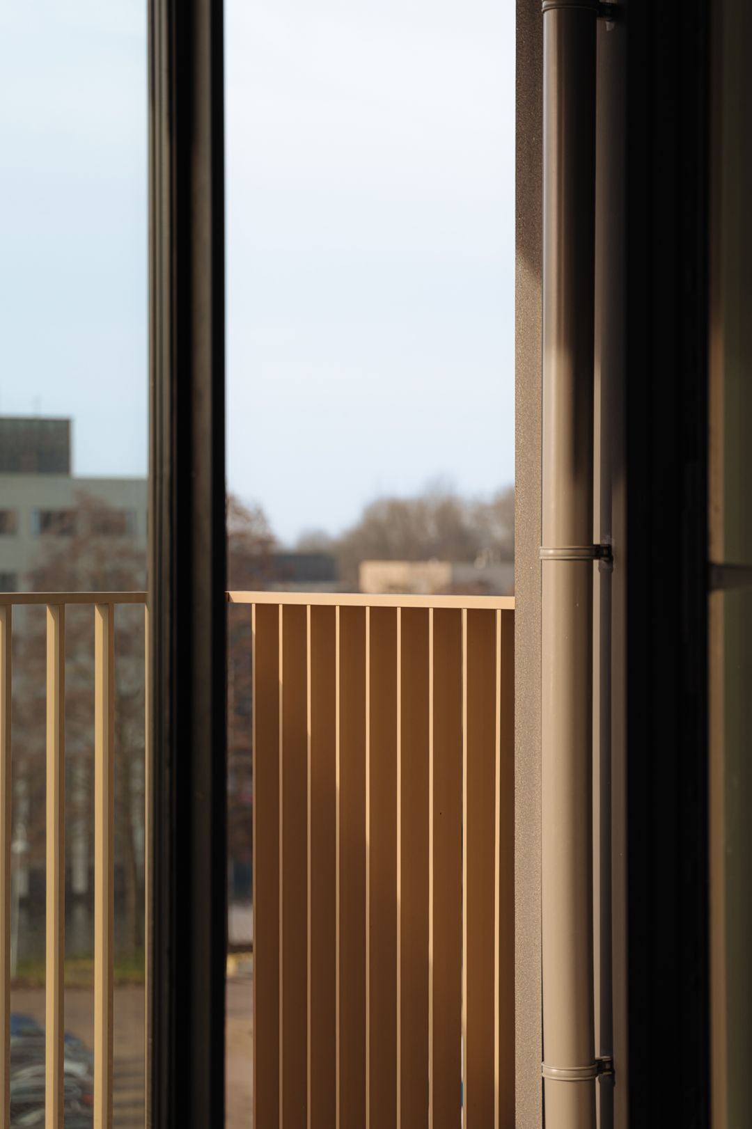 Foto 23 van Mies van der Rohestraat 275