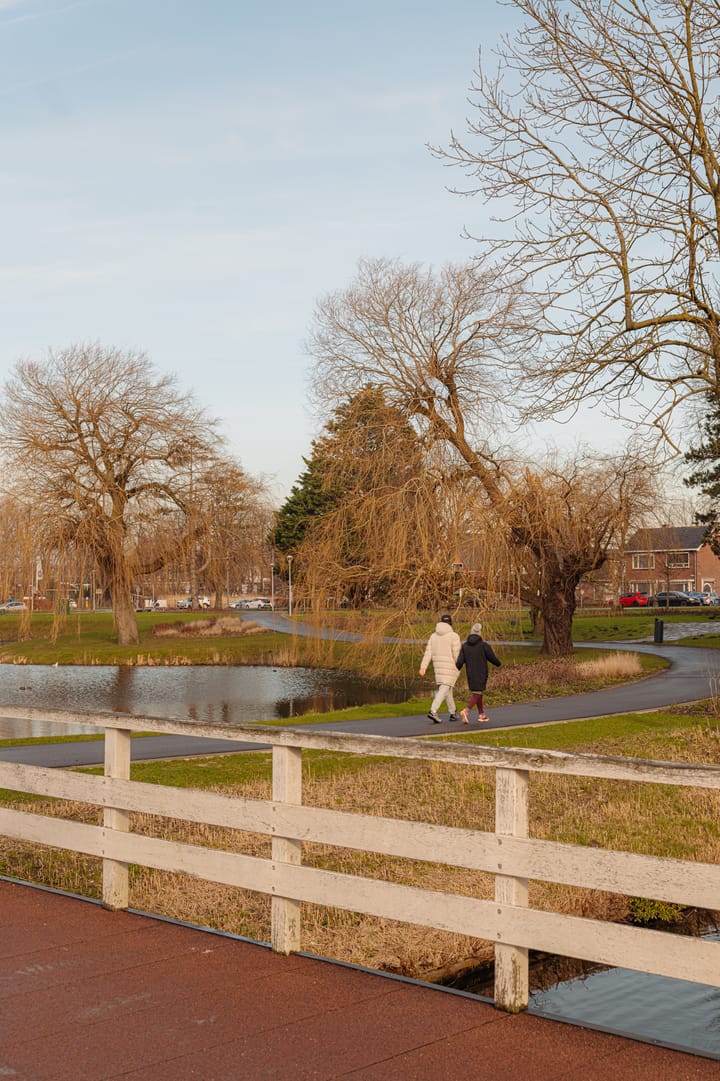 Foto 37 van Mies van der Rohestraat 275